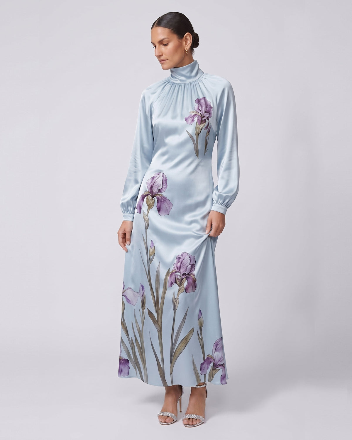 Iris Print High Neck Long Sleeve Maxi Dress - Light Blue